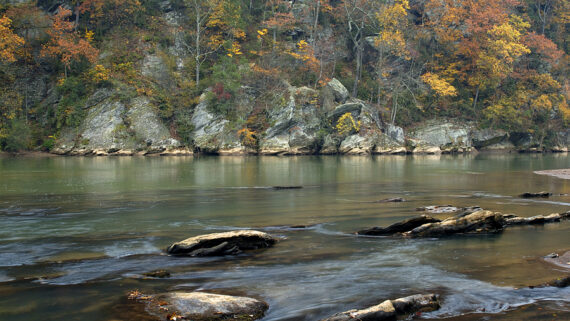 Riverbank photo