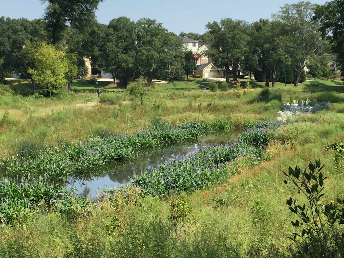 McDaniel Wetlands photo