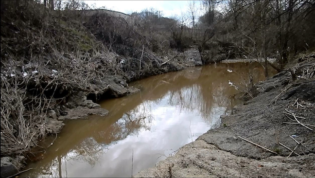 Mosquito Area - pond of standing water