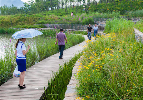 Wetland Precedent Photo