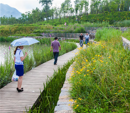 Wetland Precedent Photo