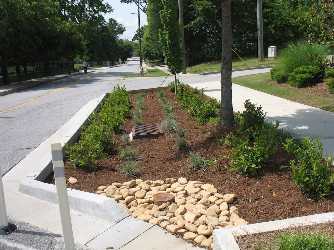 Whitehall Terrace bioretention photo