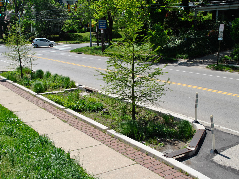 Planters on Street