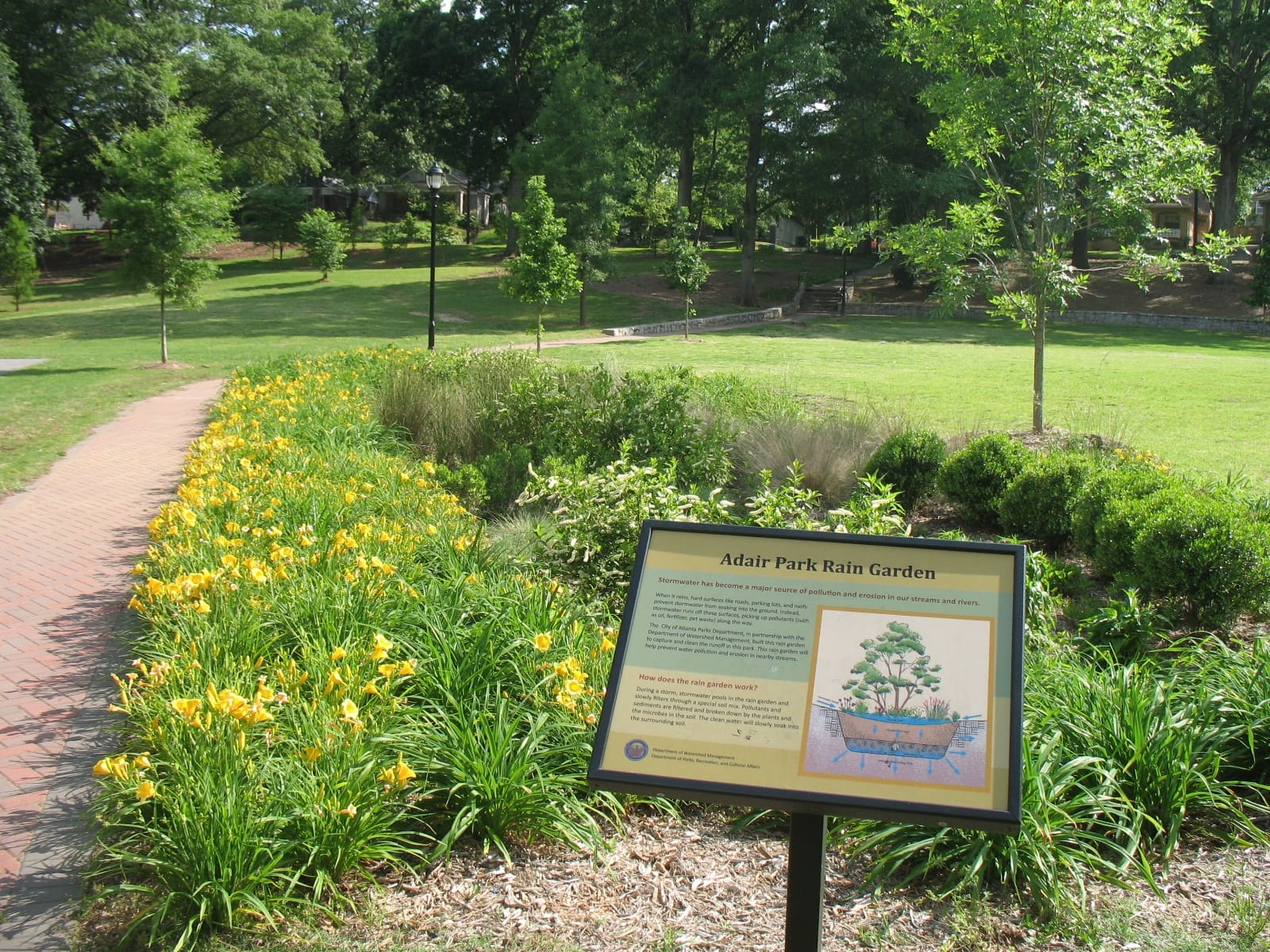 Adair Park Rain Garden