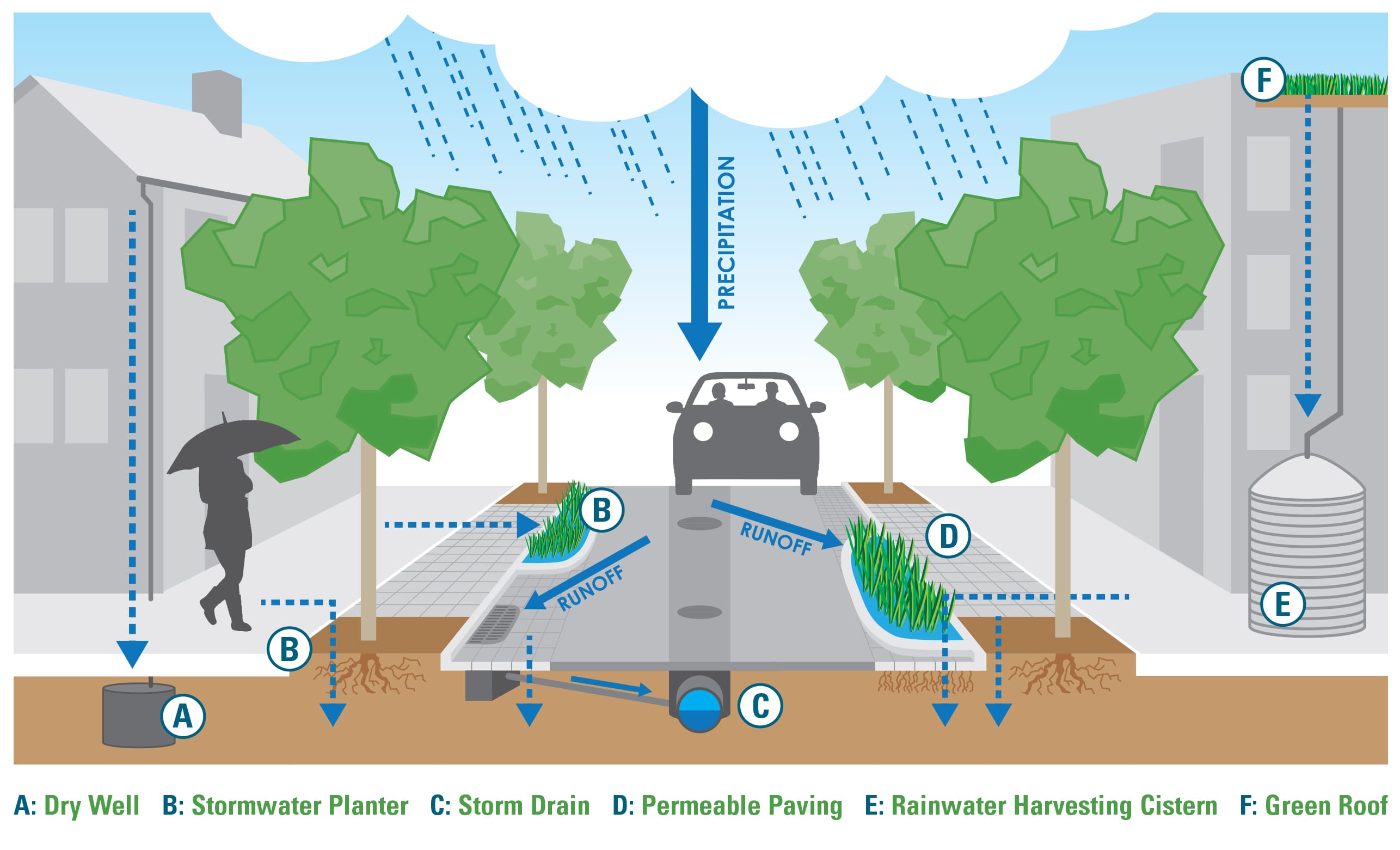 Green Infrastructure Graphic
